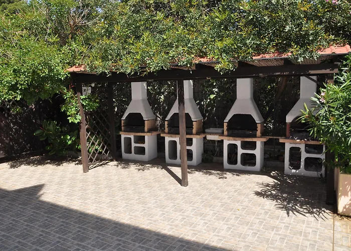 Palm Village
